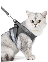 Kattentuigje met Lijn - Veiligheid & Comfort voor Avonturen