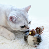 Interactief Katten Speelgoed - ChirpBird