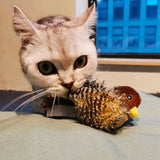Interactief Katten Speelgoed - ChirpBird