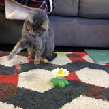 Maten Interactief Katten Speelgoed – Purrfect Play