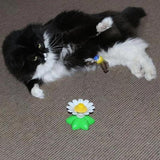 Maten Interactief Katten Speelgoed – Purrfect Play