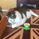 Maten Interactief Katten Speelgoed – Purrfect Play