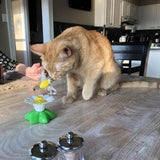 Maten Interactief Katten Speelgoed – Purrfect Play