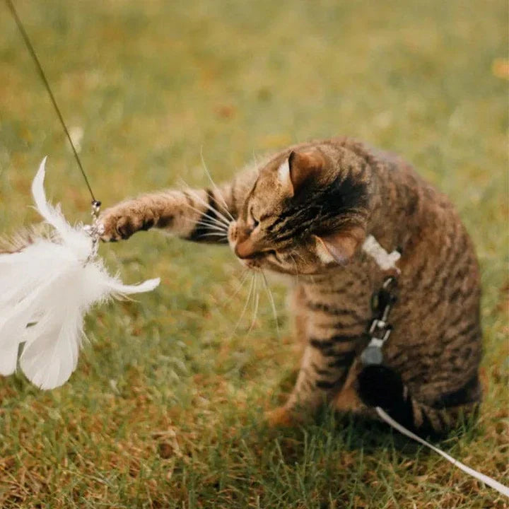 Interactief Katten Speelgoed - FlutterVriend