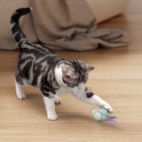 Het Ultieme Kauwspeelgoed voor Katten – WhiskerPlay