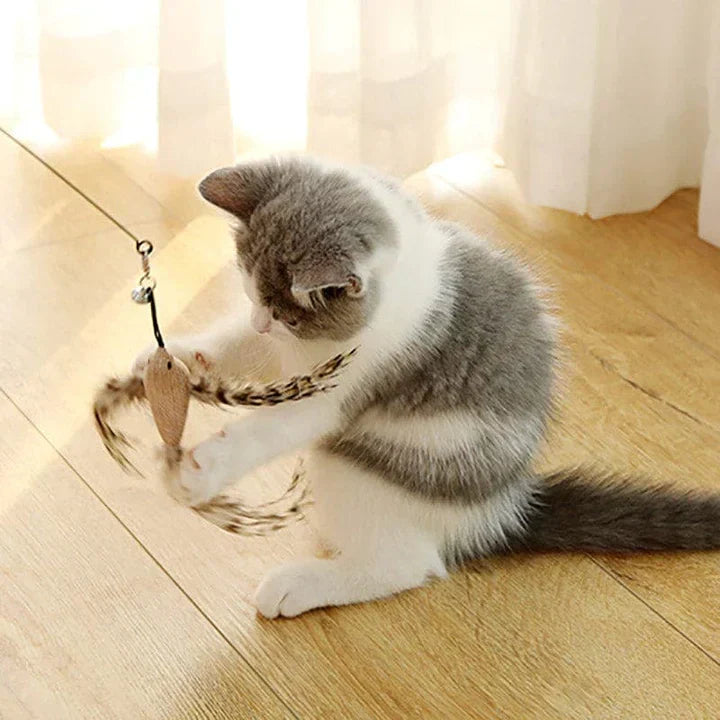 Interactief Katten Speelgoed - FlutterVriend