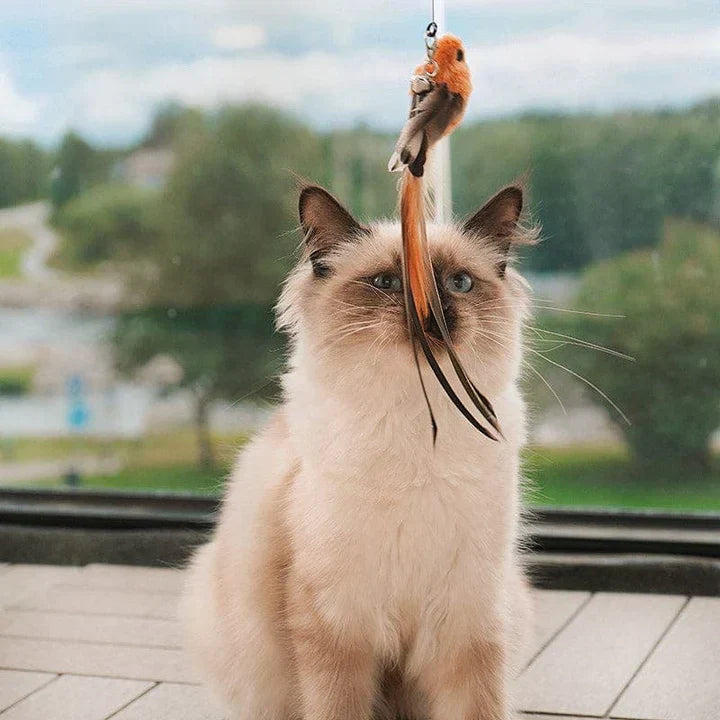 Interactief Katten Speelgoed - FlutterVriend