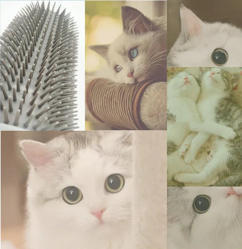 Katten-Eckbürste voor Zelfzorg - PurrGroom
