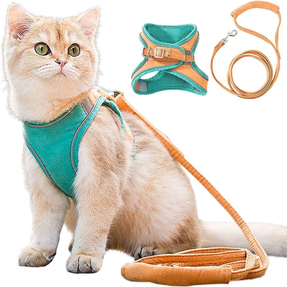 Kattenharnas – Oscar