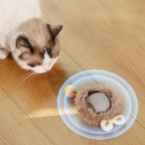 Interactieve Jachtbal voor Katten - PouncePal