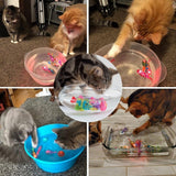 Speelset voor katten – AquaPurr