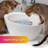 Speelset voor katten – AquaPurr