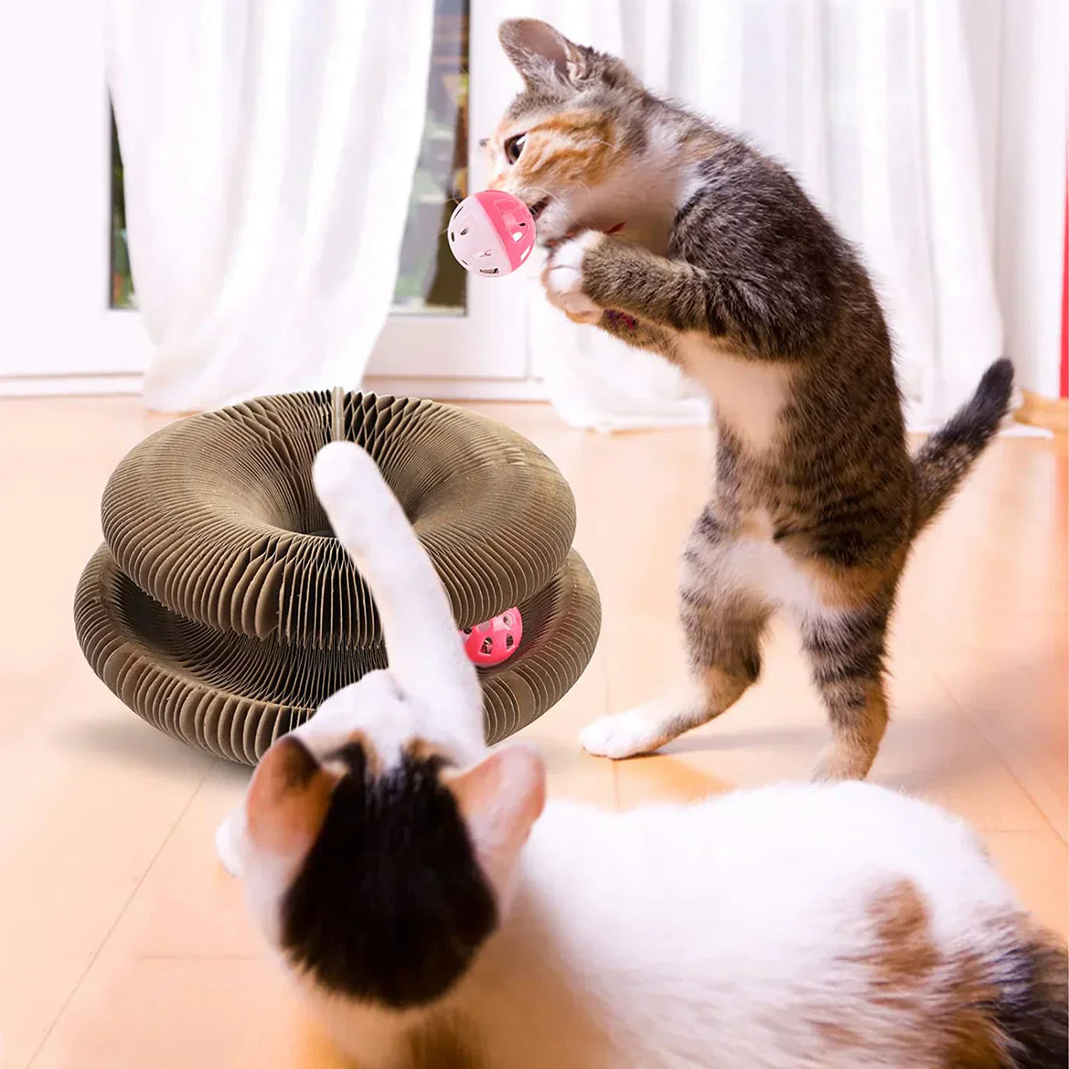Actieve speelplezier voor je kat - PurrFit