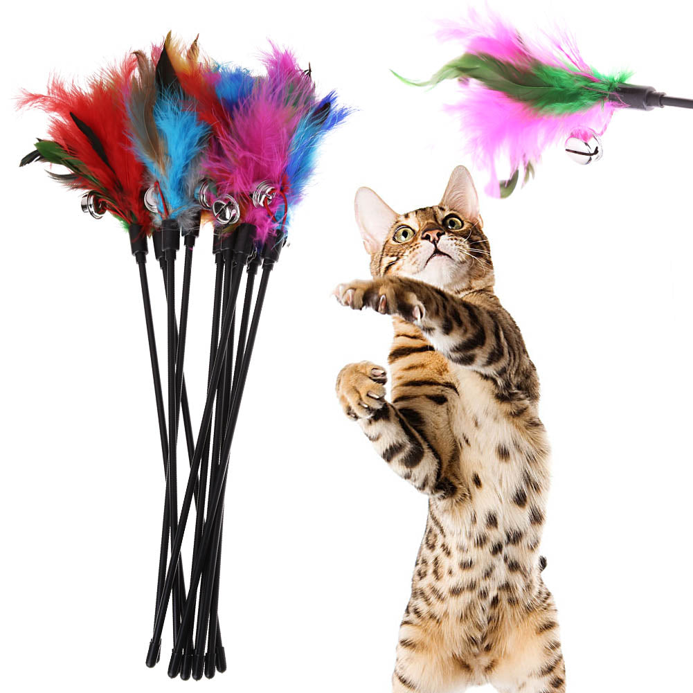 Katten speelgoed met veren (5 stuks) – FeatherChase