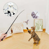 Interactief Katten Speelgoed - ChirpBird