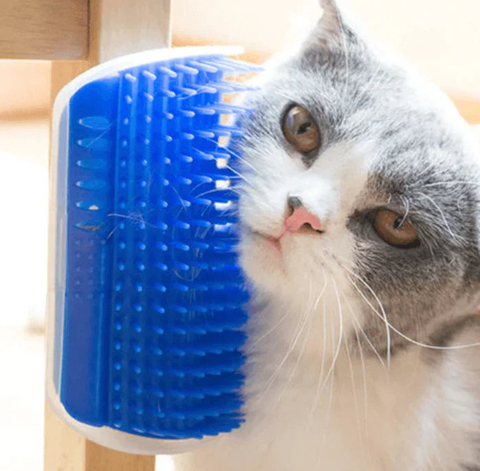 Katten-Eckbürste voor Zelfzorg - PurrGroom