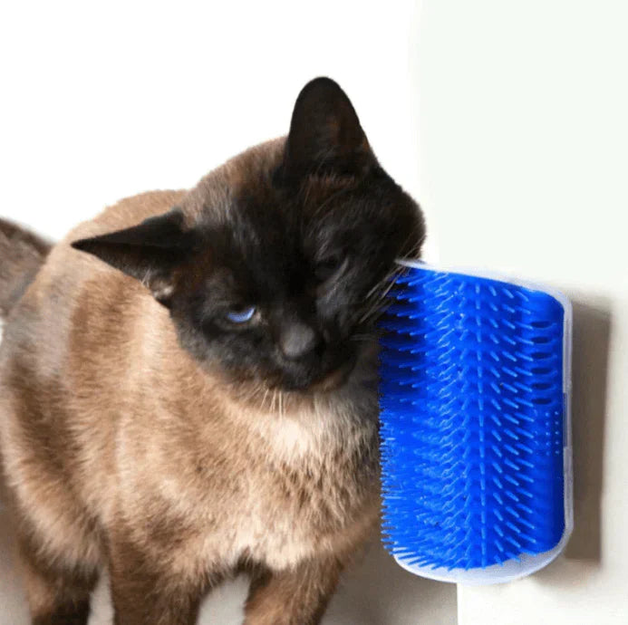 Katten-Eckbürste voor Zelfzorg - PurrGroom