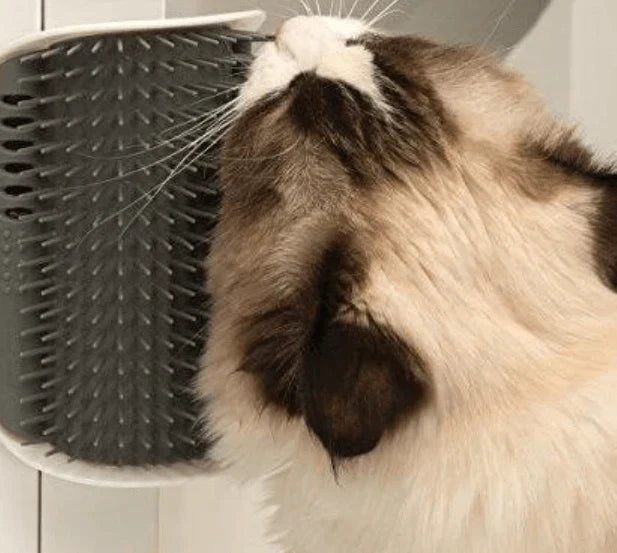 Katten-Eckbürste voor Zelfzorg - PurrGroom