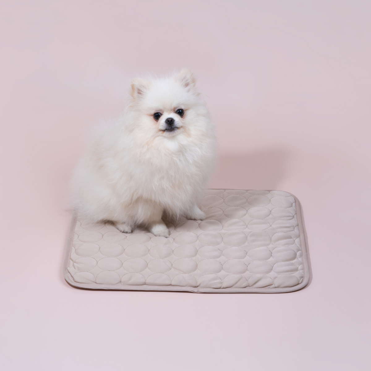 Innovatieve Koelmat voor Honden (4x Koelkracht) - ChillComfort