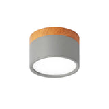 Noordse Cilinder LED Plafondlamp – Minimalistische Inbouwlamp voor Moderne Gangen