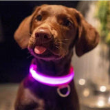 HondVeilig Pro - LED-halsband voor honden - Voel je veilig en stijlvol tijdens het uitlaten