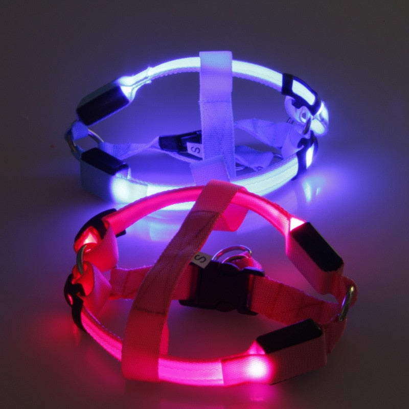 Hondentuig met LED - Glow&Go