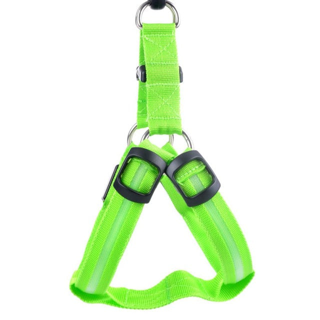 Hondentuig met LED - Glow&Go