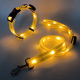 Verlicht LED Hondenhalsband met Leash - NightBright