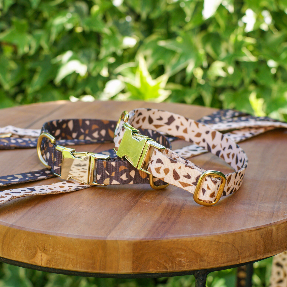 Hondenhalsband met gouden accenten – GoldenTerra