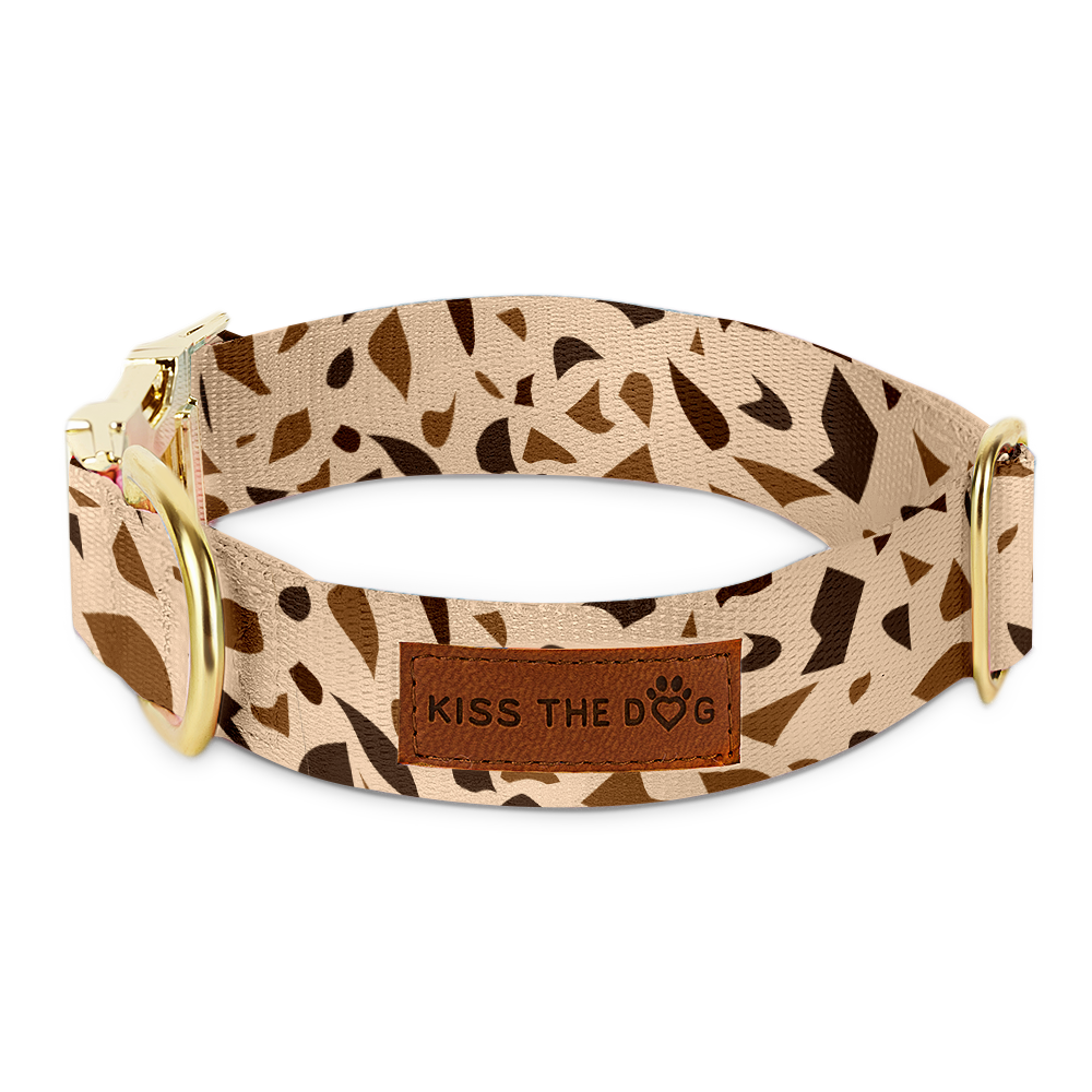 Hondenhalsband met gouden accenten – GoldenTerra