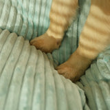 Orthopedisch Hondenkussen | SnuggleRest | Warm & Comfortabel