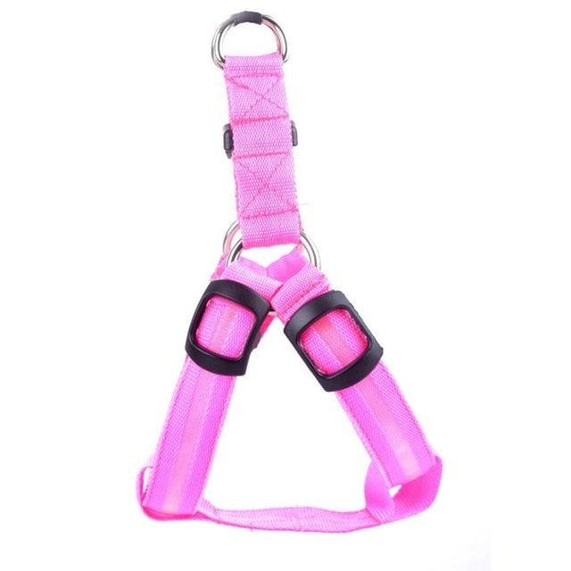 Hondentuig met LED - Glow&Go