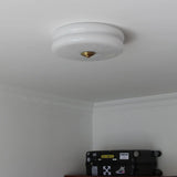 Moderne Plafondlamp - Ronde LED Armatuur voor Slaapkamer, Woonkamer en Gang