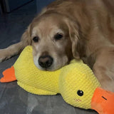 QuackyPaws - De Kalmerende Eend