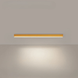 Minimalistische plafondlamp met sterke uitstraling