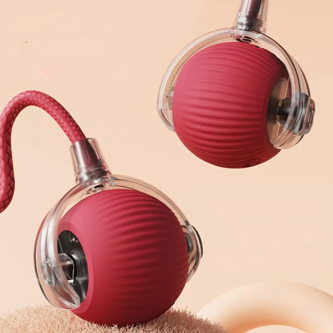 Interactieve Jachtbal voor Katten - PouncePal