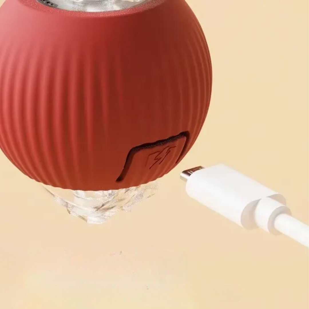 Interactieve Jachtbal voor Katten - PouncePal