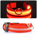 HondVeilig Pro - LED-halsband voor honden - Voel je veilig en stijlvol tijdens het uitlaten