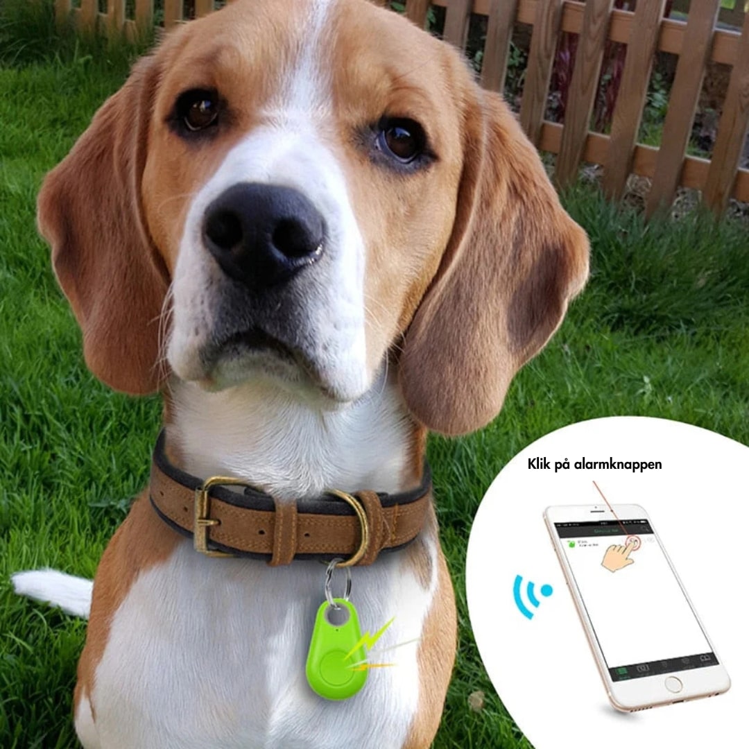 SafeTrack | GPS Tracker met Live Tracking voor Kinderen, Huisdieren en Waardevolle Zaken