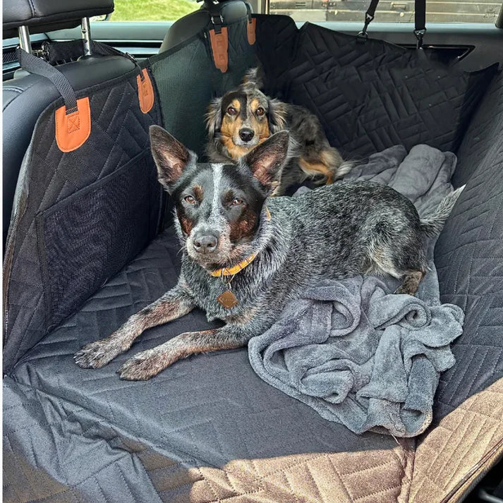 ComfortCarrier | Waar autobescherming en comfort voor je hond samenkomen | +Veilige hondenriem