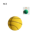 Stille Basketball voor Kinderen Binnen