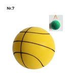 Stille Basketball voor Kinderen Binnen