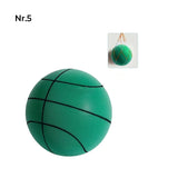 Stille Basketball voor Kinderen Binnen