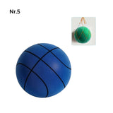 Stille Basketball voor Kinderen Binnen