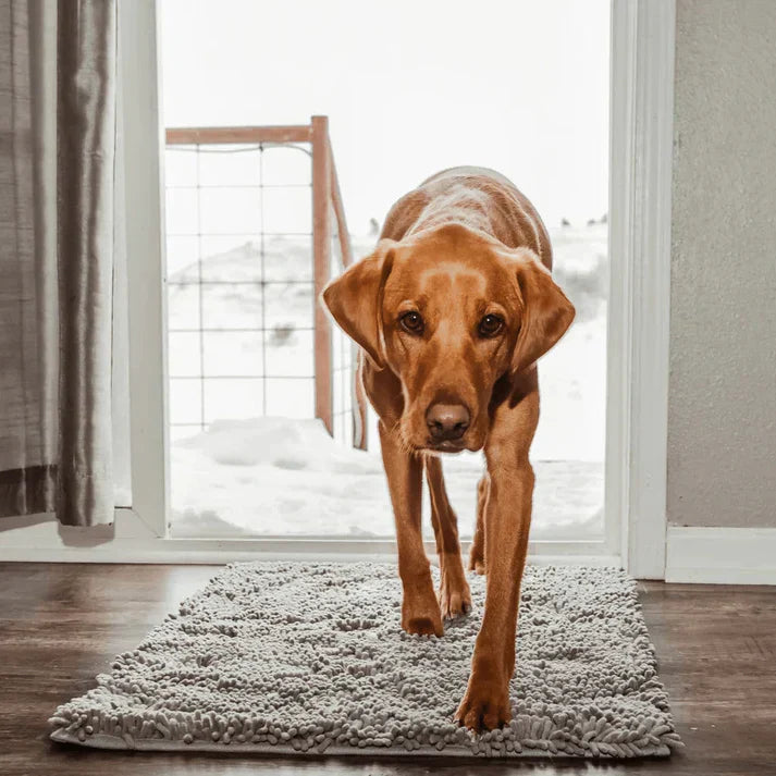 Super absorberende hondenmat – PawMat