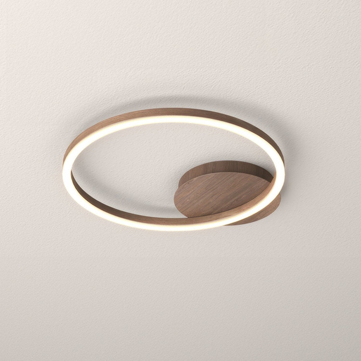 RingLuma | Energiezuinige LED plafondlamp | Elegant ringontwerp | Modern design | IJzer en acryl | AC 90-260V | Diverse afmetingen | Verfijnde sfeer voor elke kamer