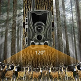 Wild Eye Vision Pro